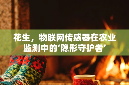 花生，物联网传感器在农业监测中的‘隐形守护者’