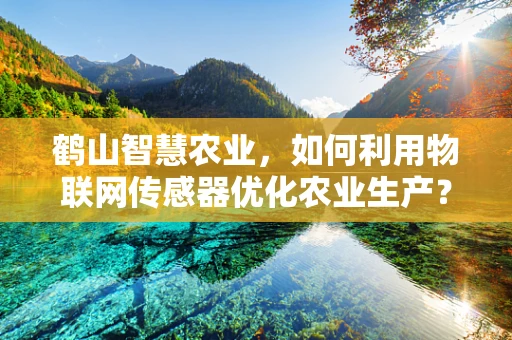 鹤山智慧农业，如何利用物联网传感器优化农业生产？