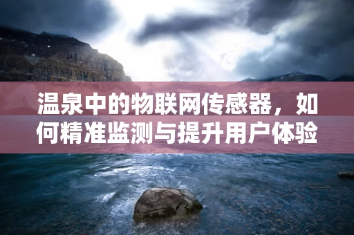 温泉中的物联网传感器，如何精准监测与提升用户体验？