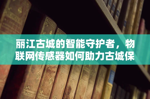 丽江古城的智能守护者，物联网传感器如何助力古城保护？