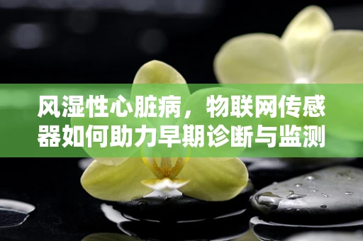 风湿性心脏病，物联网传感器如何助力早期诊断与监测？