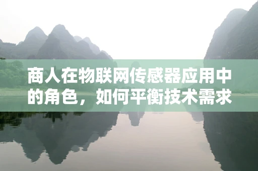 商人在物联网传感器应用中的角色，如何平衡技术需求与商业利益？