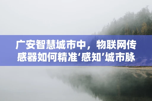 广安智慧城市中，物联网传感器如何精准‘感知’城市脉动？