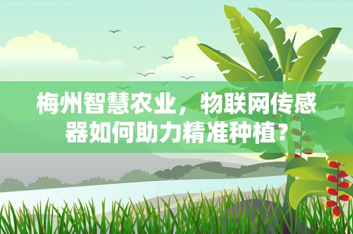 梅州智慧农业，物联网传感器如何助力精准种植？