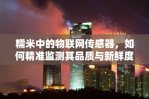 糯米中的物联网传感器，如何精准监测其品质与新鲜度？