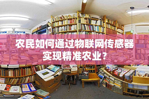 农民如何通过物联网传感器实现精准农业？
