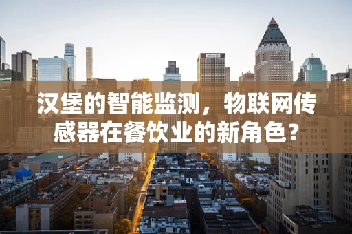汉堡的智能监测，物联网传感器在餐饮业的新角色？