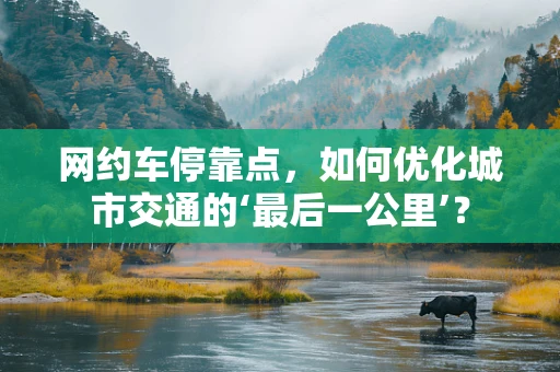 网约车停靠点，如何优化城市交通的‘最后一公里’？