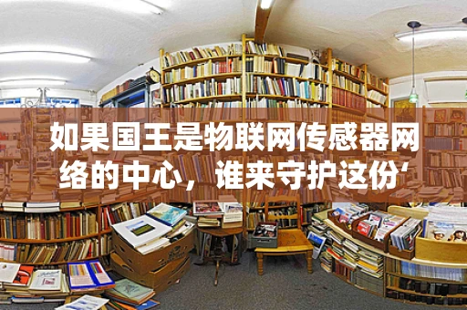 如果国王是物联网传感器网络的中心，谁来守护这份‘数字王权’？