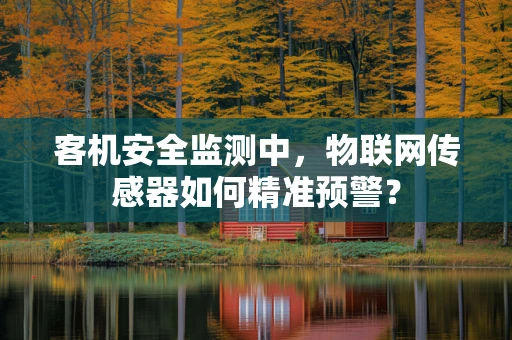 客机安全监测中，物联网传感器如何精准预警？