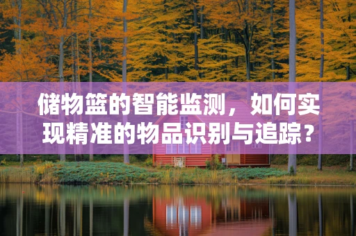 储物篮的智能监测，如何实现精准的物品识别与追踪？