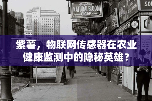 紫薯，物联网传感器在农业健康监测中的隐秘英雄？