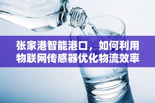 张家港智能港口，如何利用物联网传感器优化物流效率？