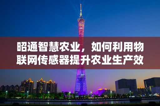 昭通智慧农业，如何利用物联网传感器提升农业生产效率？