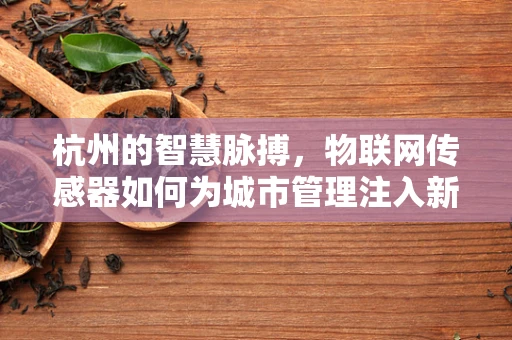 杭州的智慧脉搏，物联网传感器如何为城市管理注入新活力？