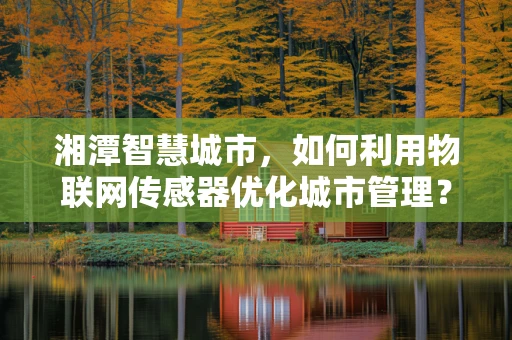 湘潭智慧城市，如何利用物联网传感器优化城市管理？