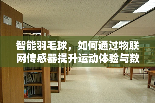 智能羽毛球，如何通过物联网传感器提升运动体验与数据分析？
