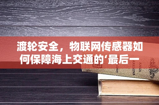 渡轮安全，物联网传感器如何保障海上交通的‘最后一公里’？