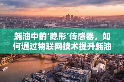 蚝油中的‘隐形’传感器，如何通过物联网技术提升蚝油质量监控？