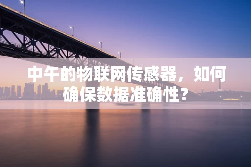 中午的物联网传感器，如何确保数据准确性？
