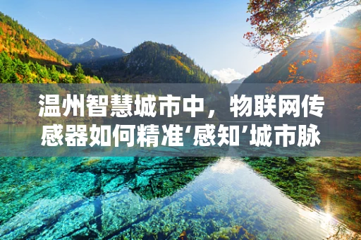 温州智慧城市中，物联网传感器如何精准‘感知’城市脉动？