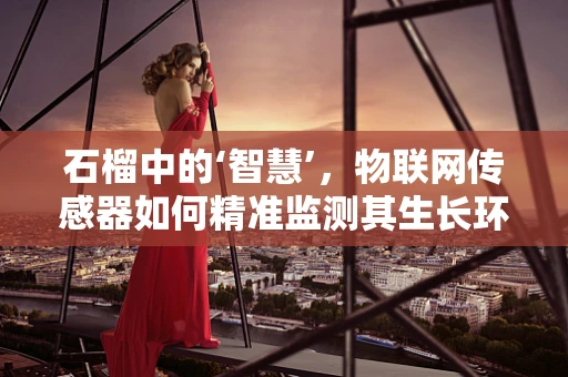 石榴中的‘智慧’，物联网传感器如何精准监测其生长环境？