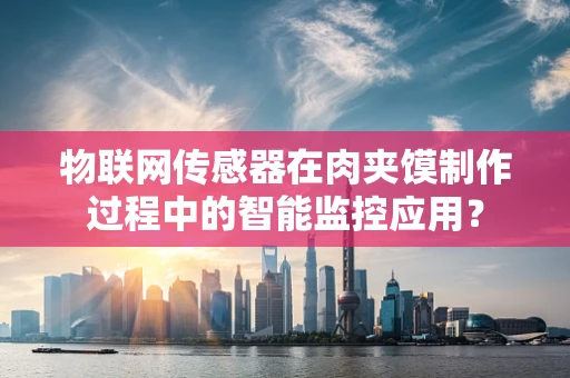 物联网传感器在肉夹馍制作过程中的智能监控应用？