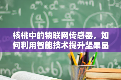 核桃中的物联网传感器，如何利用智能技术提升坚果品质监测？