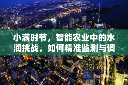 小满时节，智能农业中的水润挑战，如何精准监测与调节农田湿度？