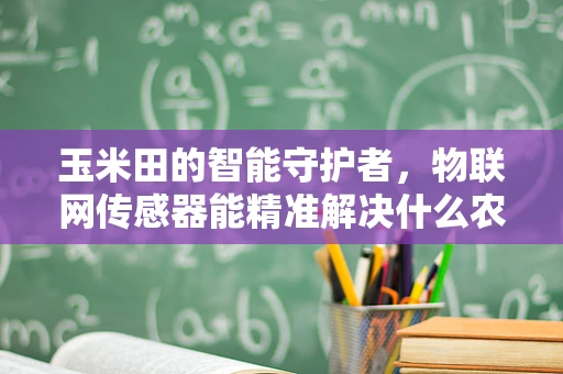 玉米田的智能守护者，物联网传感器能精准解决什么农业难题？