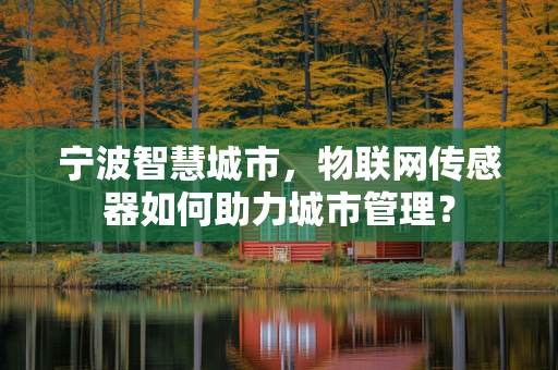 宁波智慧城市，物联网传感器如何助力城市管理？