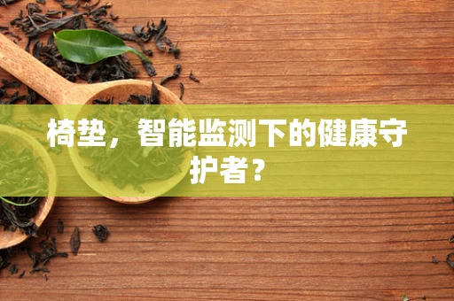 椅垫，智能监测下的健康守护者？