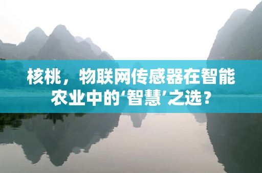 核桃，物联网传感器在智能农业中的‘智慧’之选？