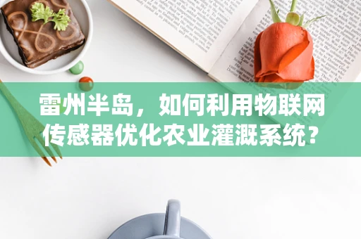 雷州半岛，如何利用物联网传感器优化农业灌溉系统？