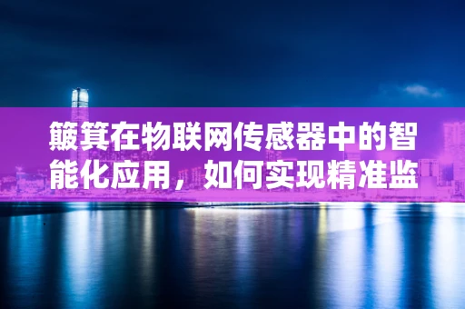 簸箕在物联网传感器中的智能化应用，如何实现精准监测与控制？