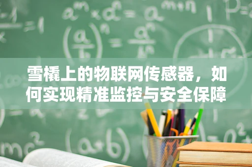 雪橇上的物联网传感器，如何实现精准监控与安全保障？