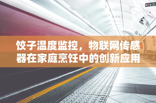 饺子温度监控，物联网传感器在家庭烹饪中的创新应用？