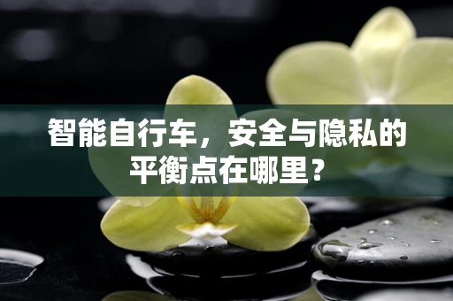 智能自行车，安全与隐私的平衡点在哪里？