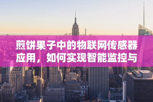 煎饼果子中的物联网传感器应用，如何实现智能监控与优化？