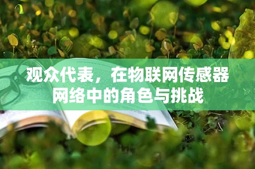 观众代表，在物联网传感器网络中的角色与挑战