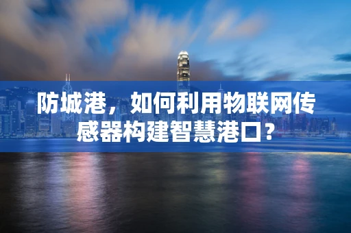 防城港，如何利用物联网传感器构建智慧港口？
