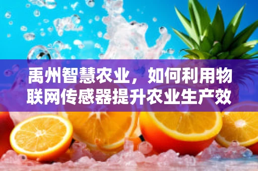 禹州智慧农业，如何利用物联网传感器提升农业生产效率？