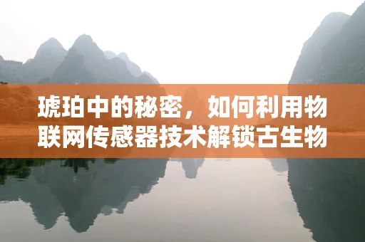 琥珀中的秘密，如何利用物联网传感器技术解锁古生物的‘时间囊’？