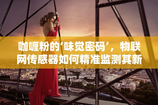 咖喱粉的‘味觉密码’，物联网传感器如何精准监测其新鲜度？