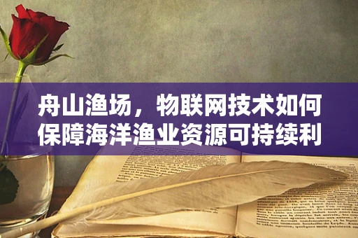 舟山渔场，物联网技术如何保障海洋渔业资源可持续利用？