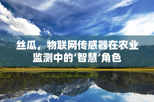 丝瓜，物联网传感器在农业监测中的‘智慧’角色