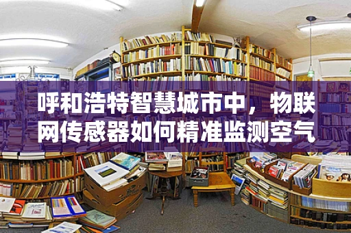 呼和浩特智慧城市中，物联网传感器如何精准监测空气质量？