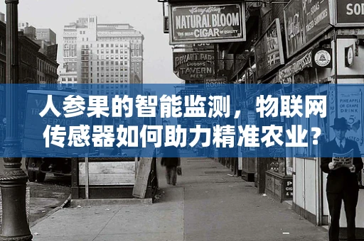 人参果的智能监测，物联网传感器如何助力精准农业？