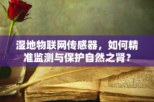 湿地物联网传感器，如何精准监测与保护自然之肾？