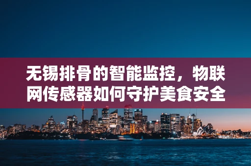 无锡排骨的智能监控，物联网传感器如何守护美食安全？